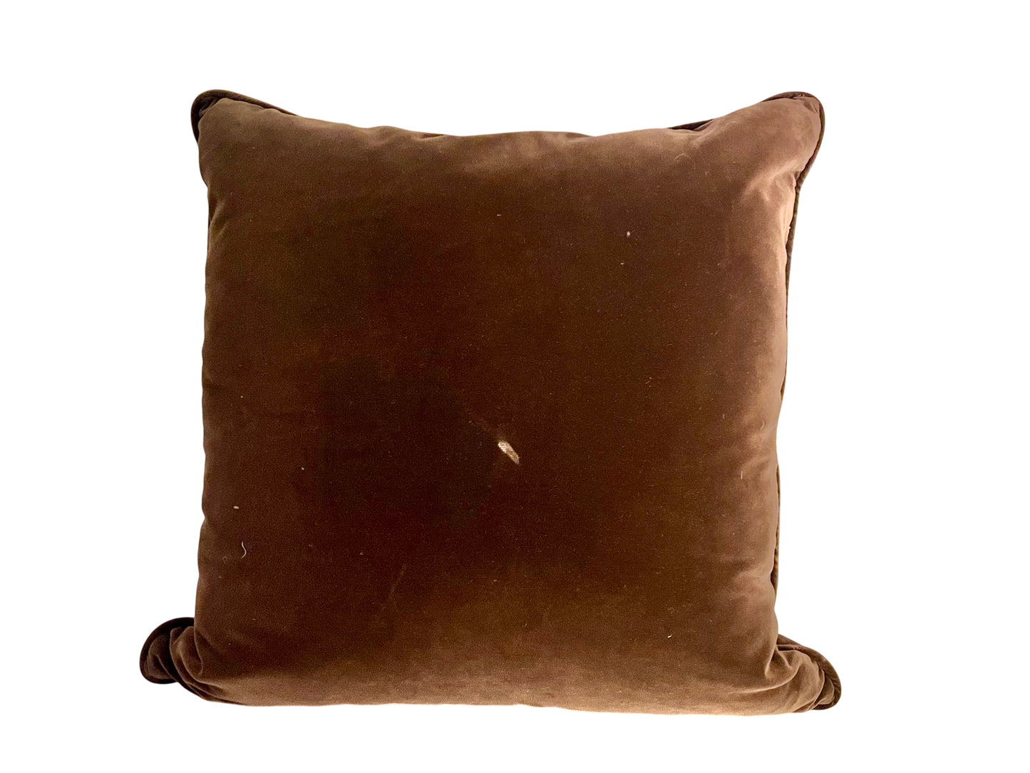 Velvet Throw Pillow