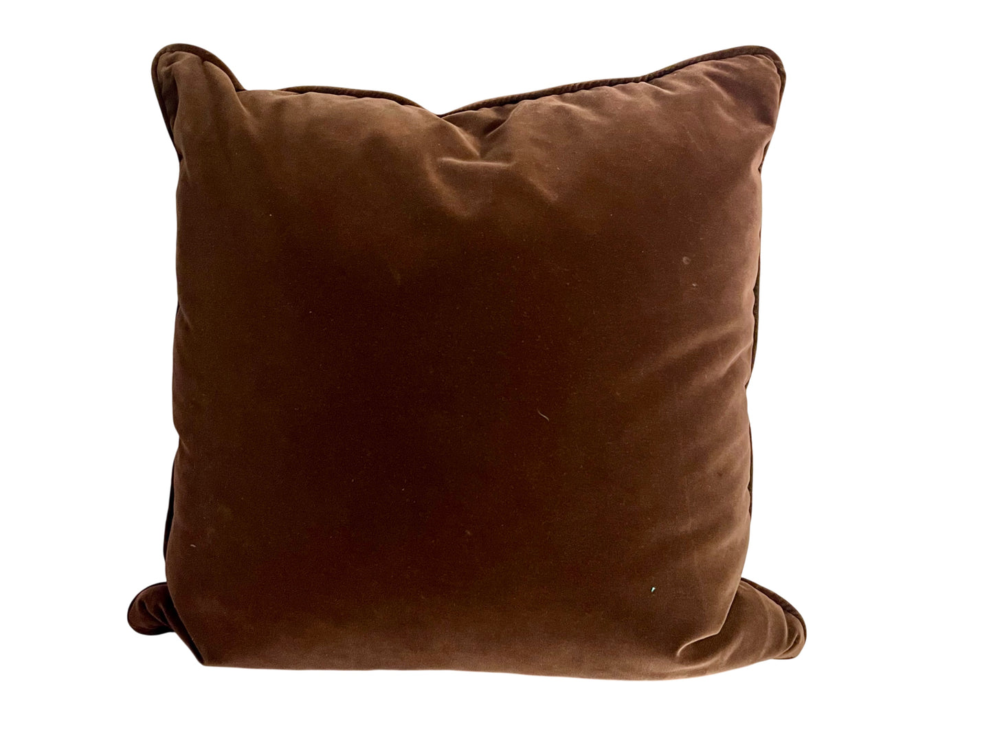 Velvet Throw Pillow