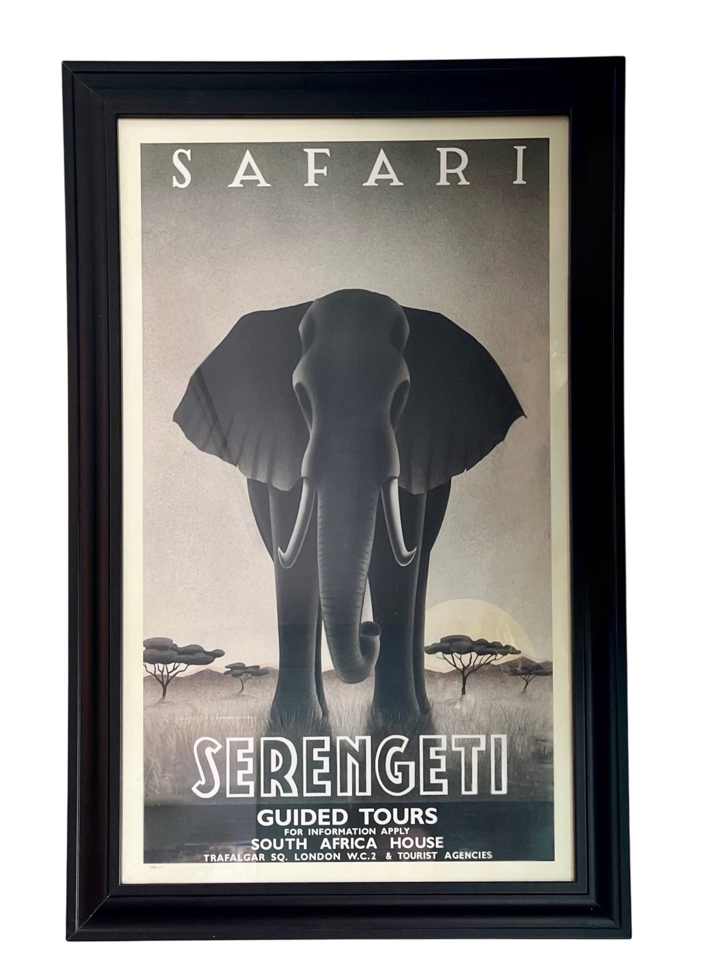 Safari Art Prints